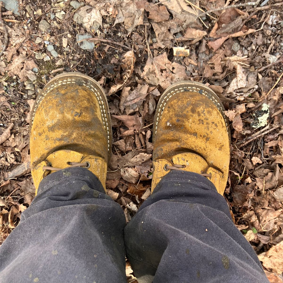 Photo by todd_ted on April 21, 2026 of the Nicks Tactical in Tasman Leather Group Coyote Roughout.