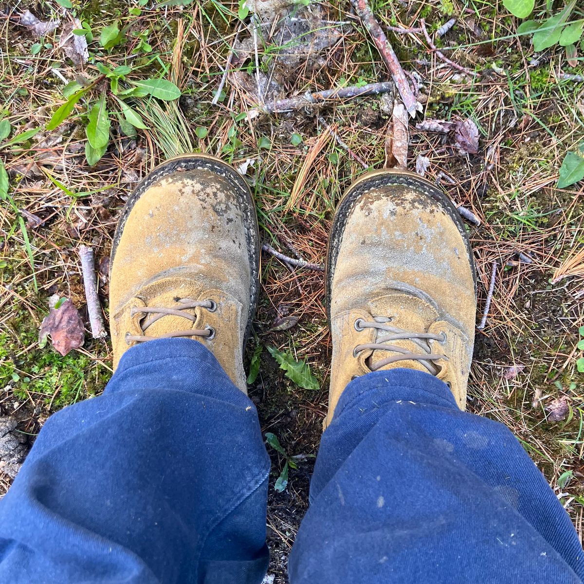 Photo by todd_ted on May 12, 2026 of the Nicks Tactical in Tasman Leather Group Coyote Roughout.