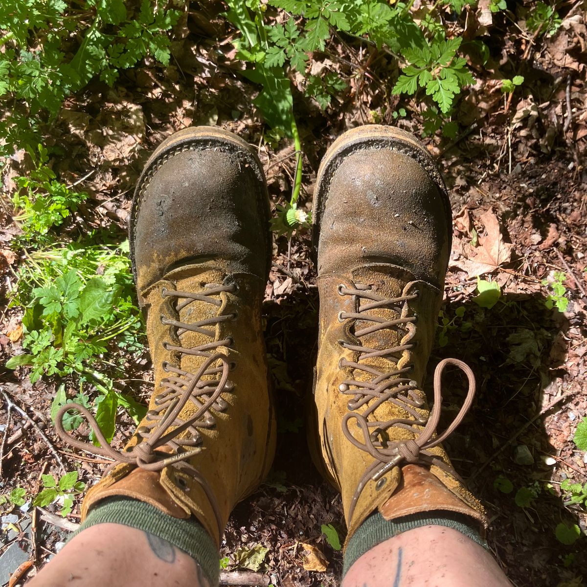 Photo by todd_ted on June 2, 2026 of the Nicks Tactical in Tasman Leather Group Coyote Roughout.