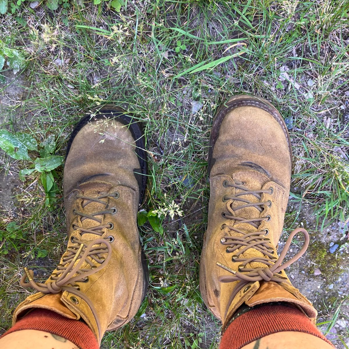 Photo by todd_ted on June 9, 2026 of the Nicks Tactical in Tasman Leather Group Coyote Roughout.