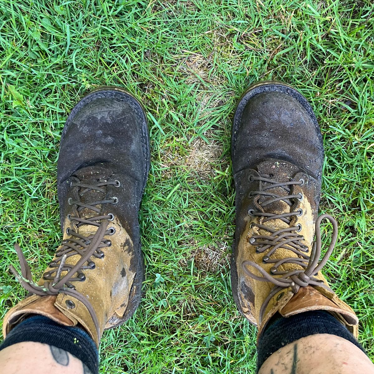 Photo by todd_ted on June 16, 2026 of the Nicks Tactical in Tasman Leather Group Coyote Roughout.