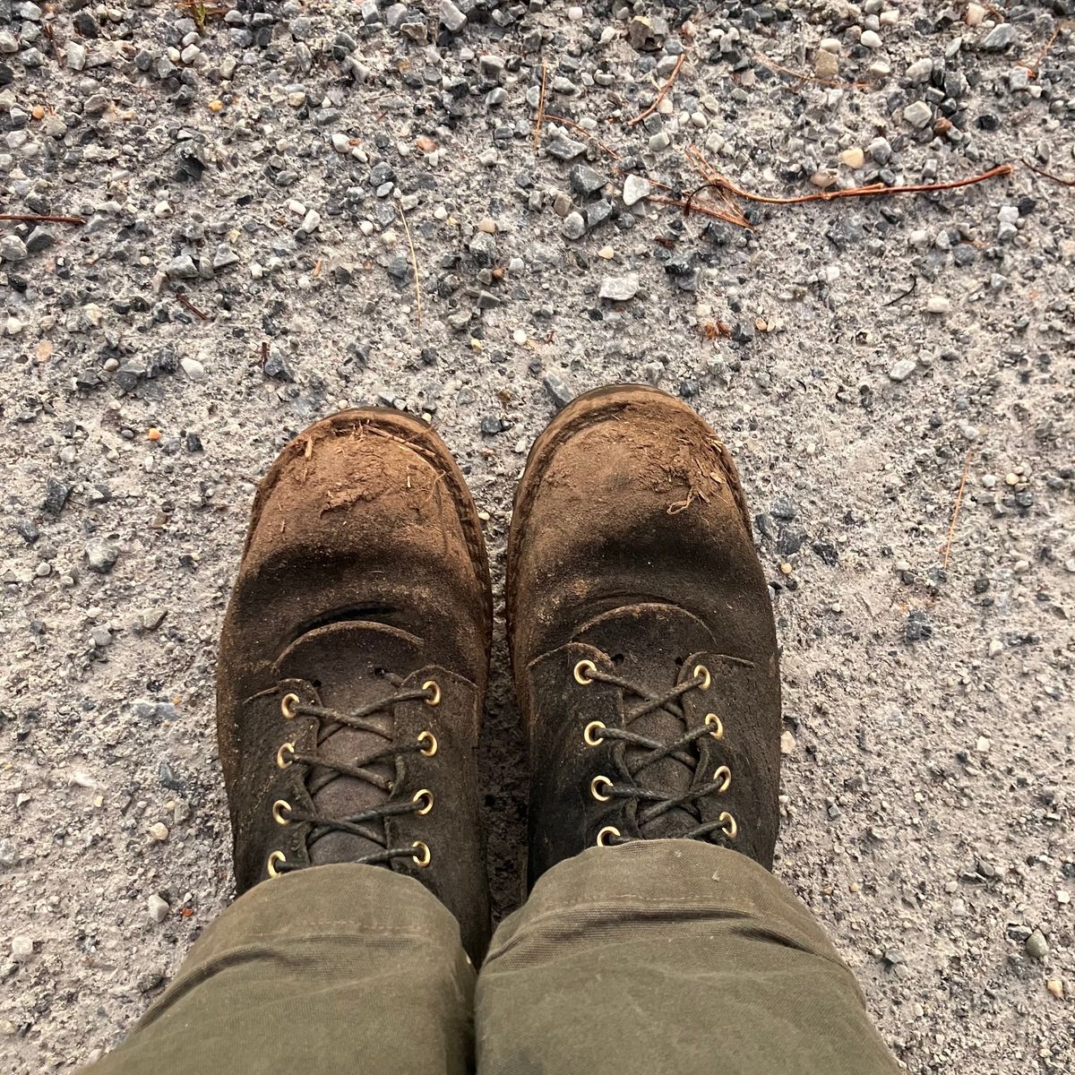 Photo by todd_ted on October 25, 2023 of the Nicks Ridgeline Hiking Boot in Seidel 1964 Black Roughout.