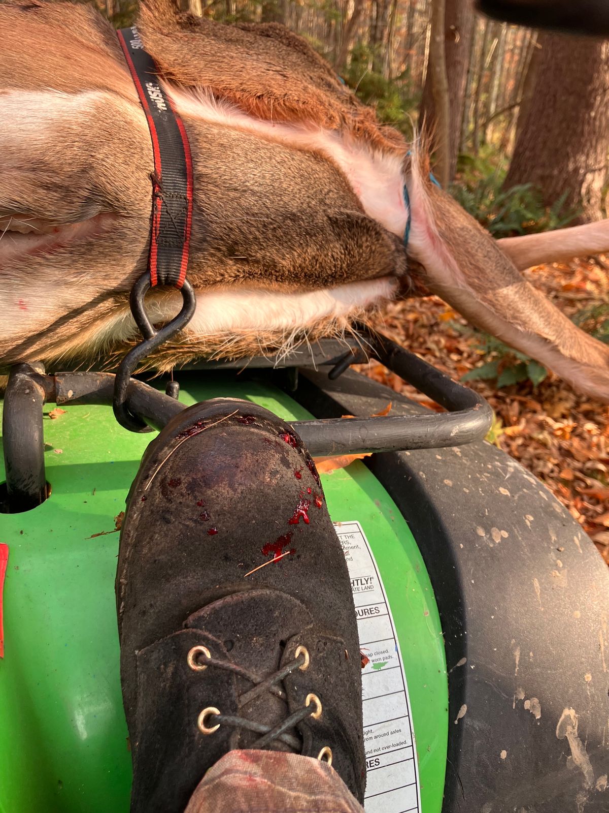 Photo by todd_ted on October 28, 2023 of the Nicks Ridgeline Hiking Boot in Seidel 1964 Black Roughout.