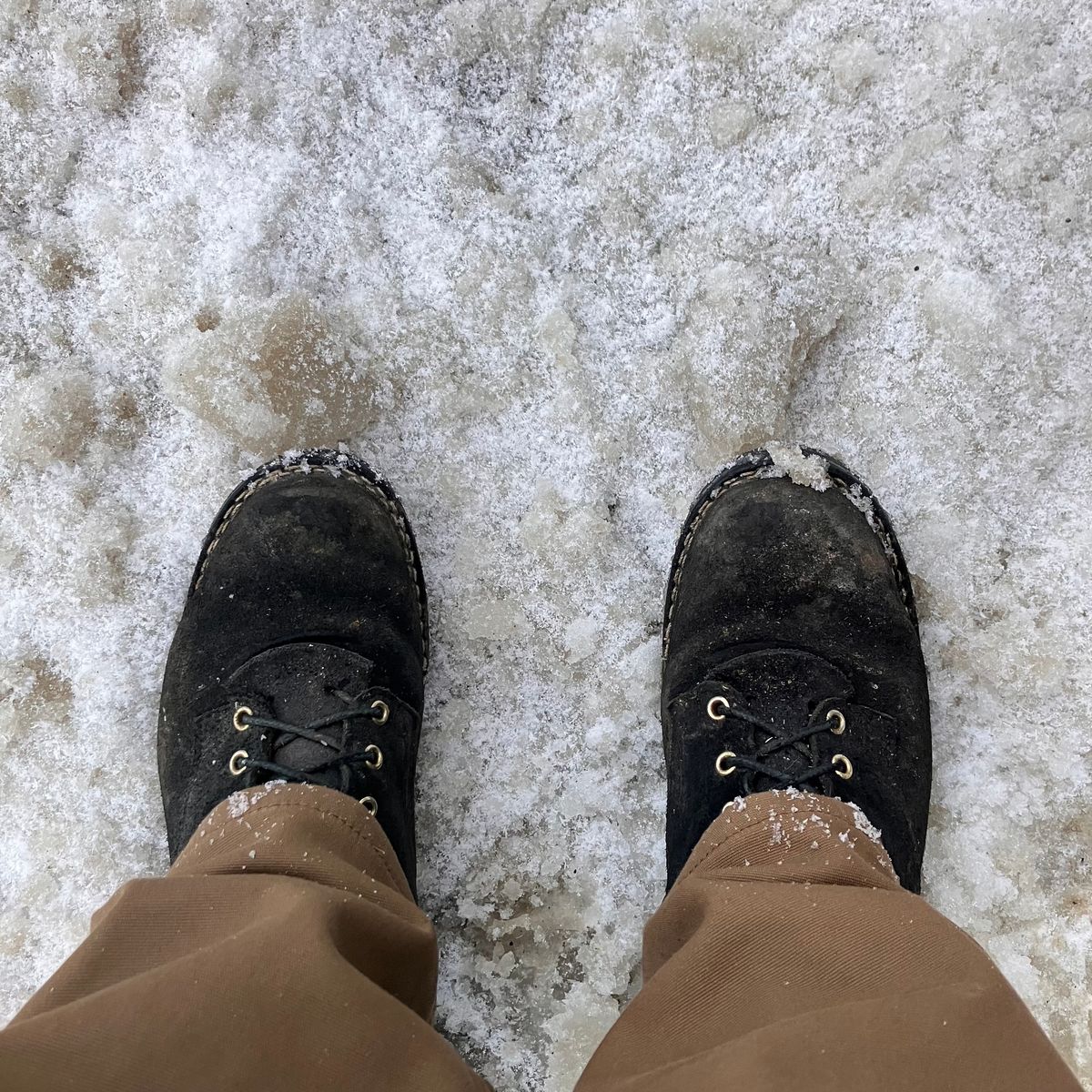 Photo by todd_ted on April 4, 2024 of the Nicks Ridgeline Hiking Boot in Seidel 1964 Black Roughout.