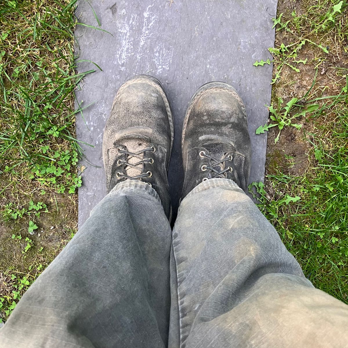 Photo by todd_ted on August 27, 2024 of the Nicks Ridgeline Hiking Boot in Seidel 1964 Black Roughout.