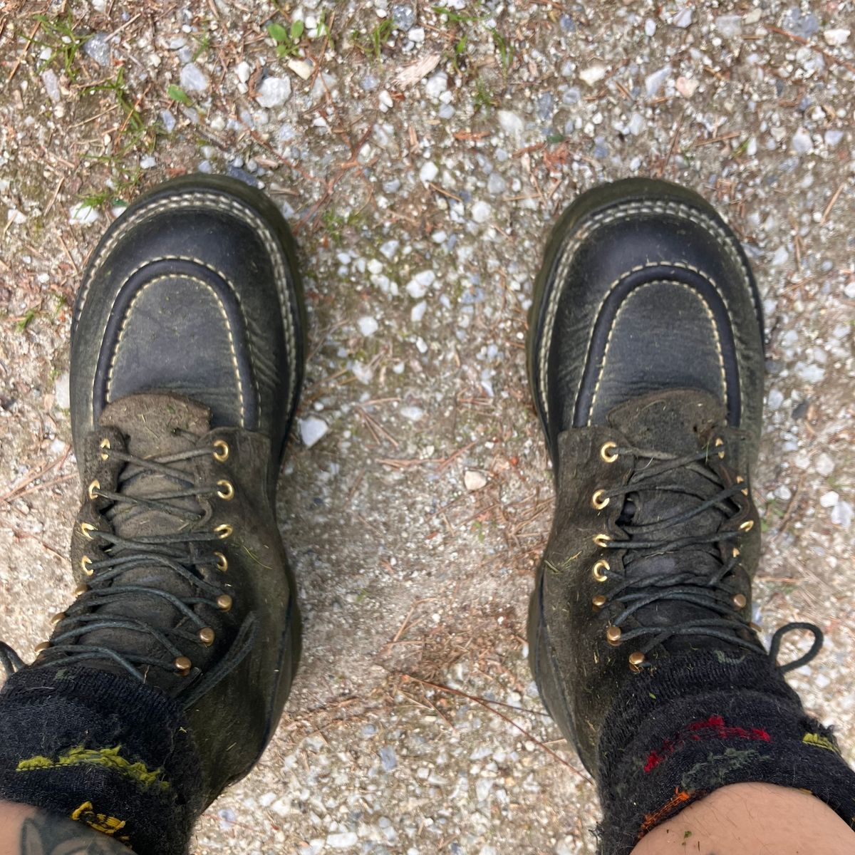 Photo by todd_ted on June 11, 2026 of the Nicks Ridgeline Hiking Boot in Seidel 1964 Black Roughout.