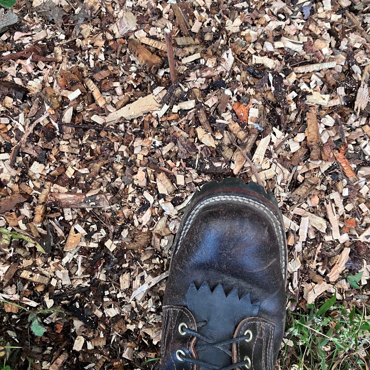 Photo by todd_ted on October 10, 2022 of the Nicks Urban Logger in Horween Brown Waxed Flesh.