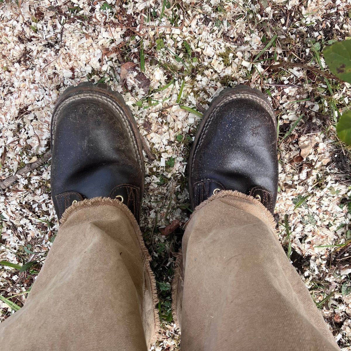 Photo by todd_ted on October 5, 2022 of the Nicks Urban Logger in Horween Brown Waxed Flesh.
