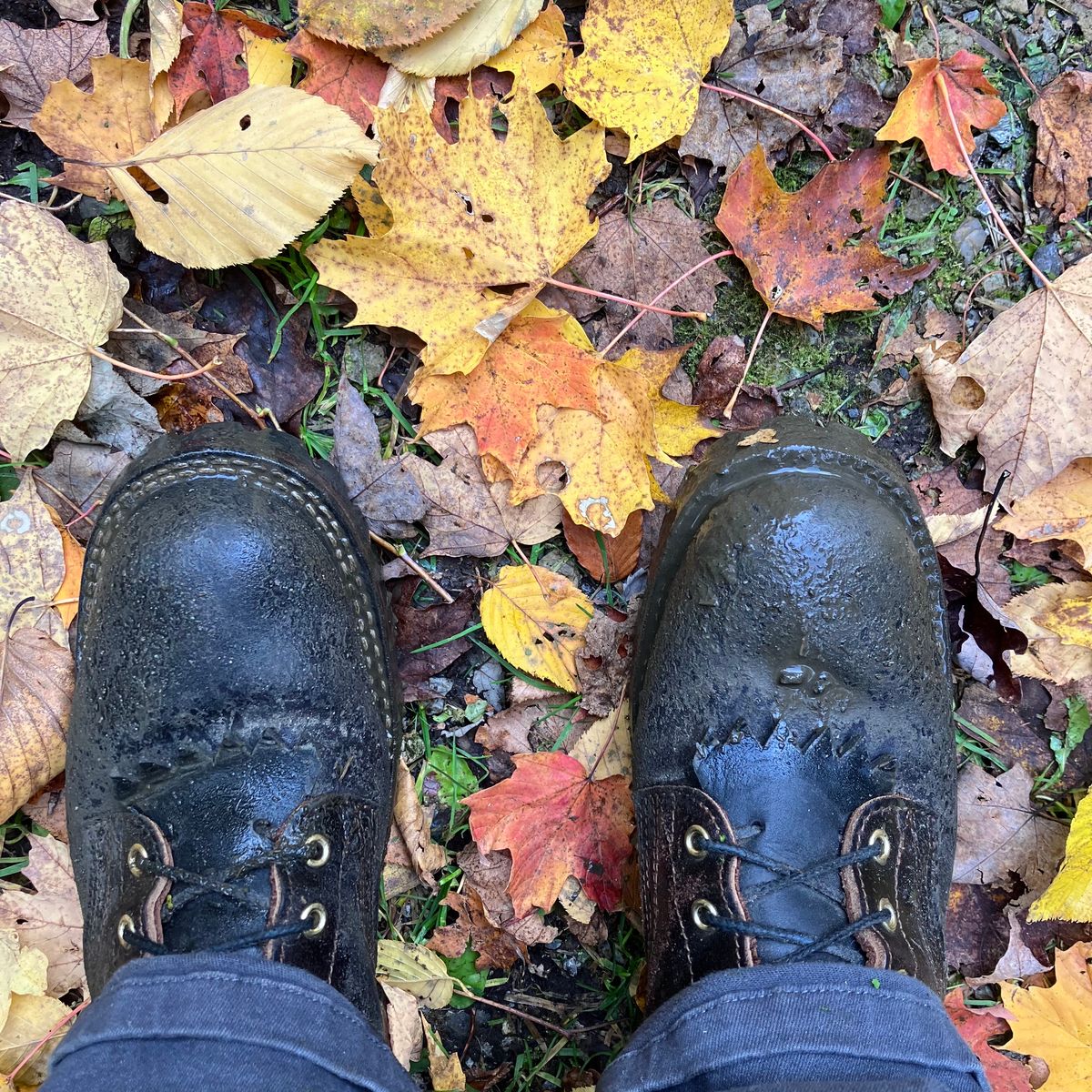 Photo by todd_ted on October 14, 2022 of the Nicks Urban Logger in Horween Brown Waxed Flesh.