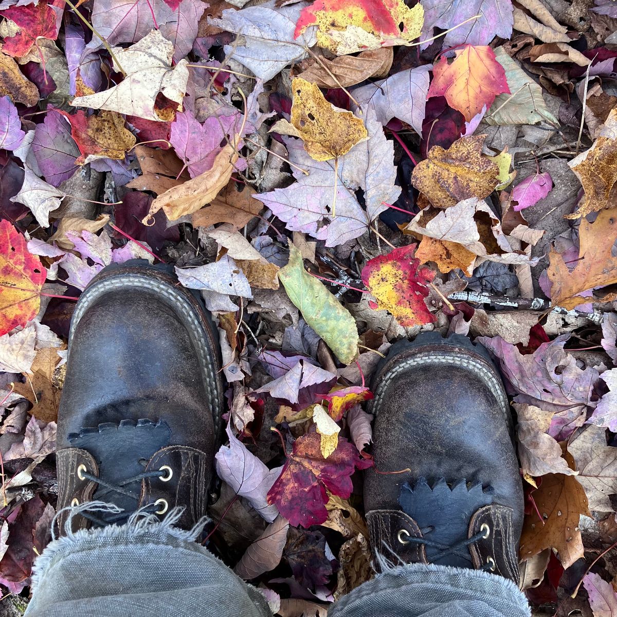 Photo by todd_ted on October 16, 2022 of the Nicks Urban Logger in Horween Brown Waxed Flesh.