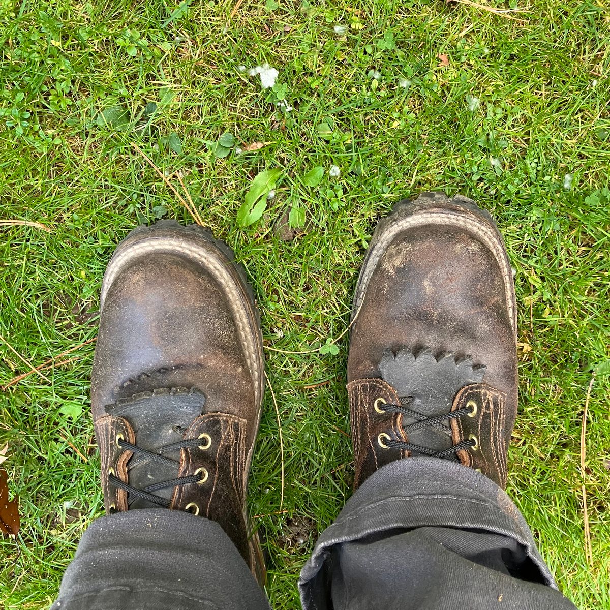 Photo by todd_ted on October 31, 2022 of the Nicks Urban Logger in Horween Brown Waxed Flesh.