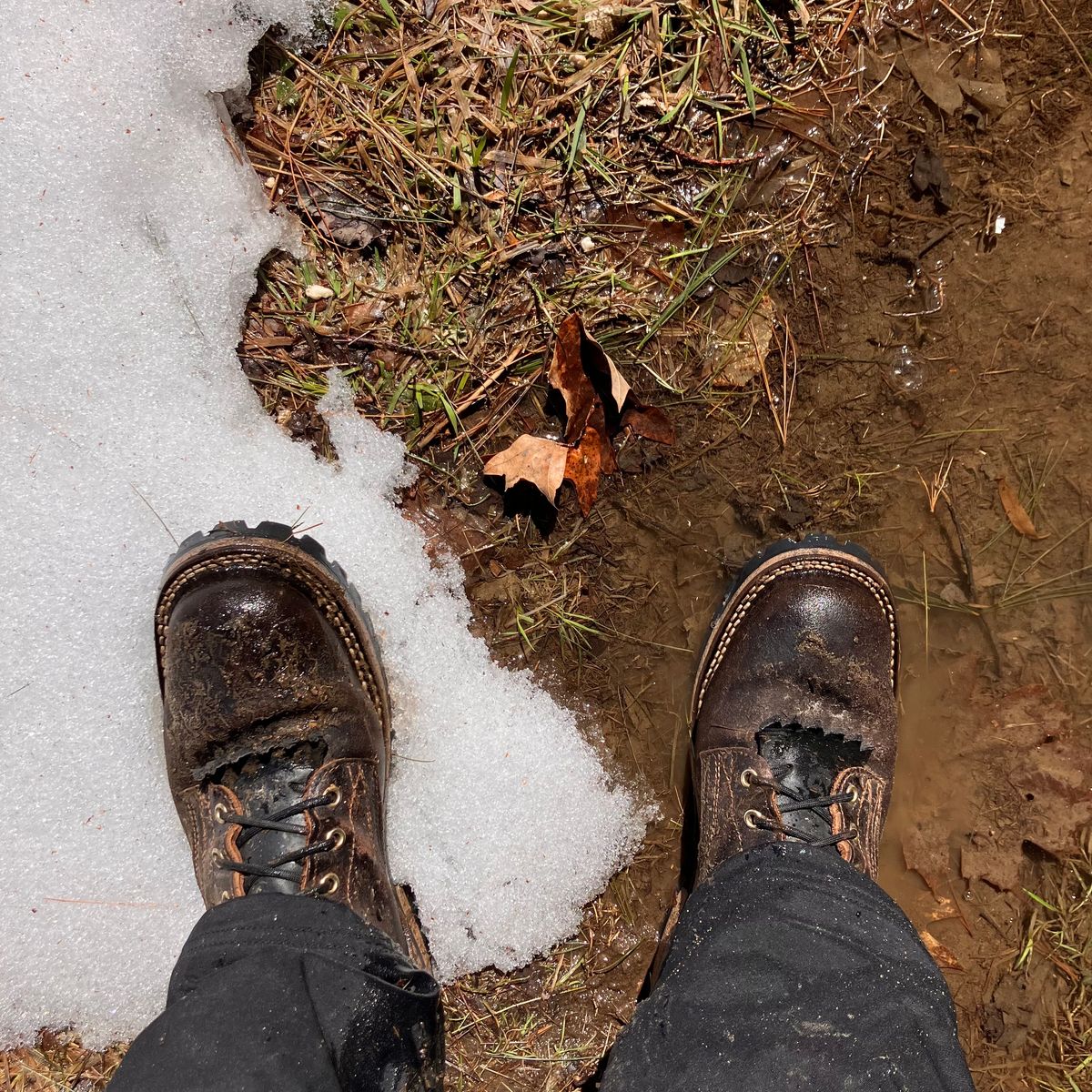 Photo by todd_ted on April 2, 2023 of the Nicks Urban Logger in Horween Brown Waxed Flesh.