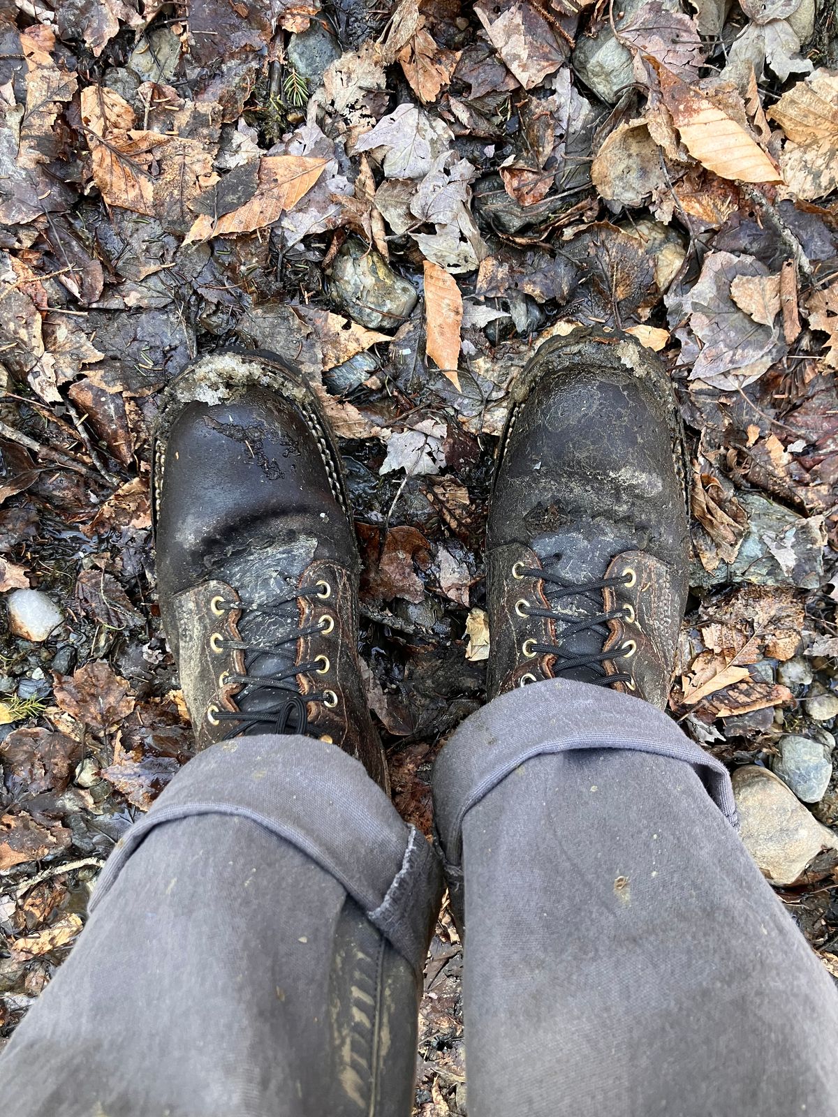 Photo by todd_ted on April 9, 2023 of the Nicks Urban Logger in Horween Brown Waxed Flesh.