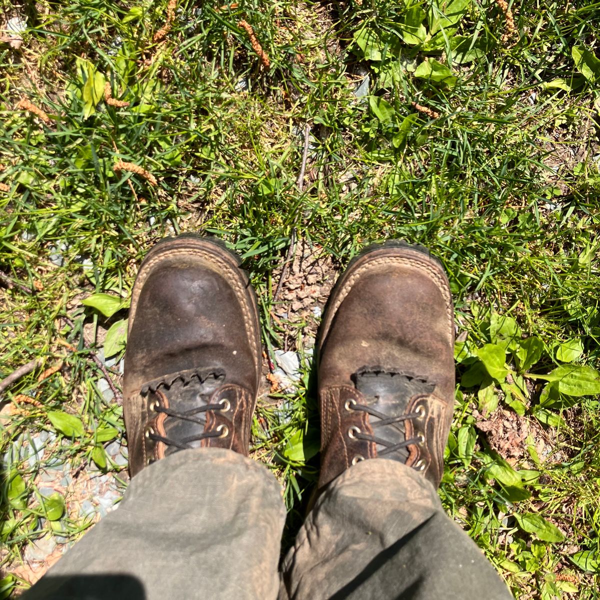 Photo by todd_ted on May 11, 2023 of the Nicks Urban Logger in Horween Brown Waxed Flesh.