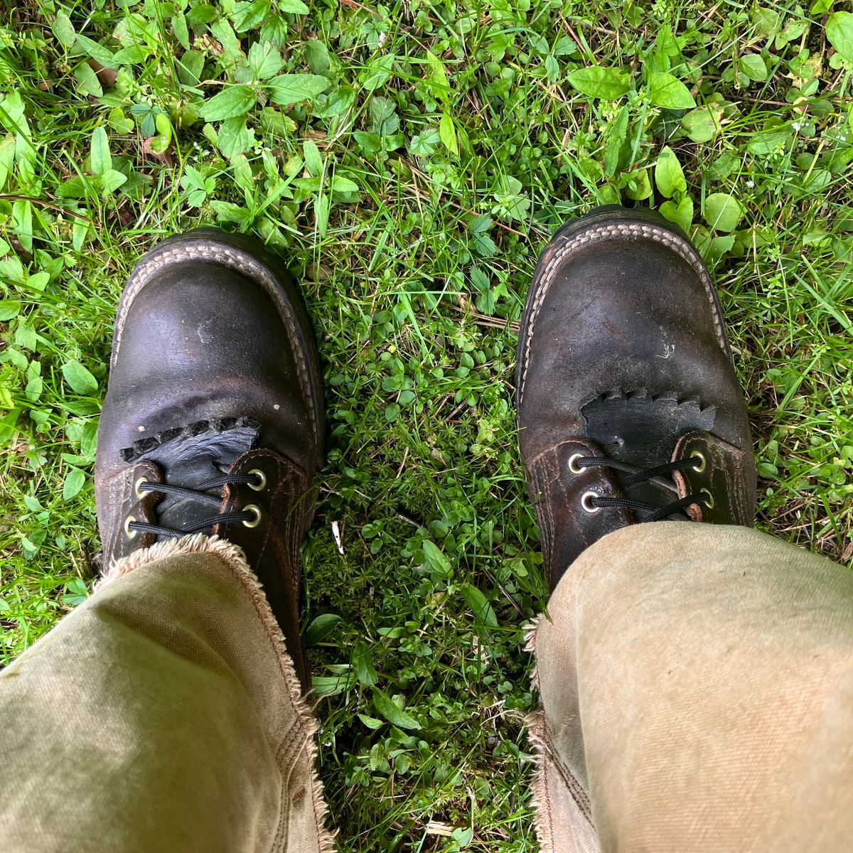 Photo by todd_ted on June 21, 2023 of the Nicks Urban Logger in Horween Brown Waxed Flesh.