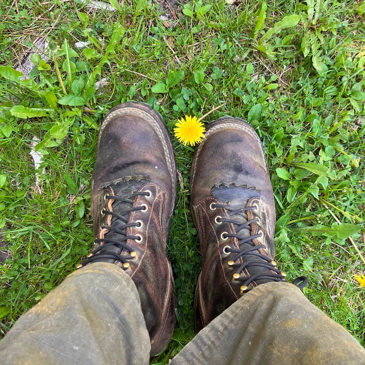 Photo by todd_ted on May 13, 2023 of the Nicks Urban Logger in Horween Brown Waxed Flesh.