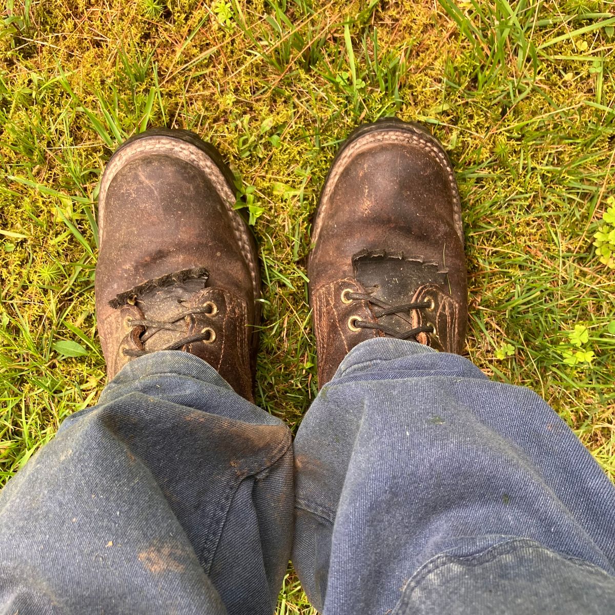 Photo by todd_ted on July 12, 2023 of the Nicks Urban Logger in Horween Brown Waxed Flesh.