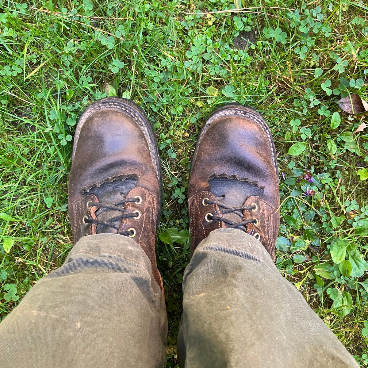 Photo by todd_ted on October 1, 2023 of the Nicks Urban Logger in Horween Brown Waxed Flesh.