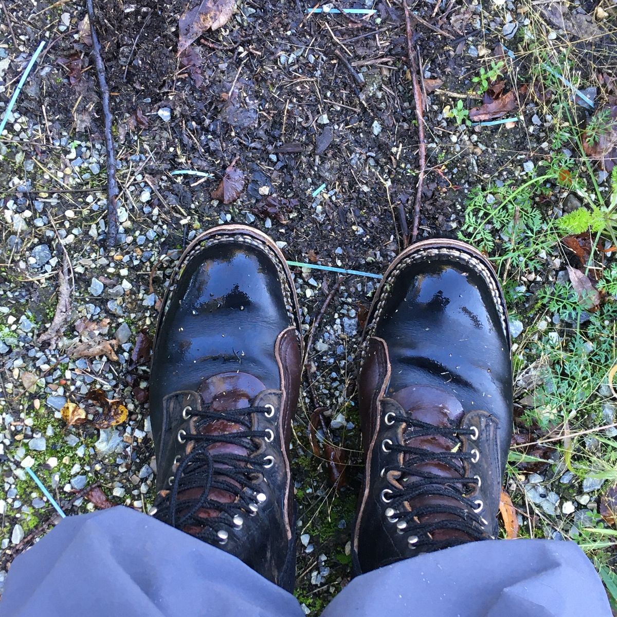 Photo by todd_ted on October 8, 2021 of the Nicks x Zuriick James in Horween Black Chromexcel.