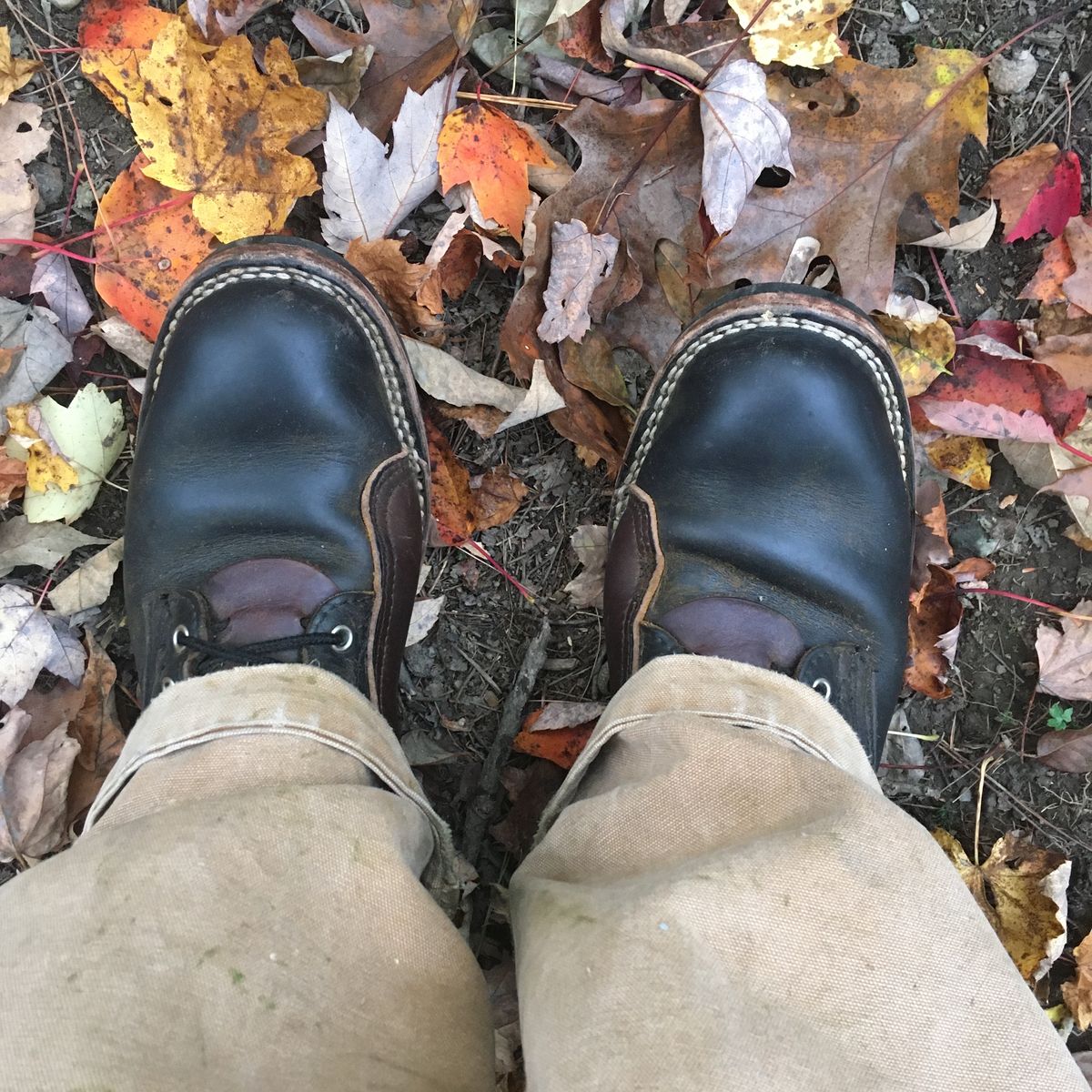 Photo by todd_ted on October 14, 2021 of the Nicks x Zuriick James in Horween Black Chromexcel.