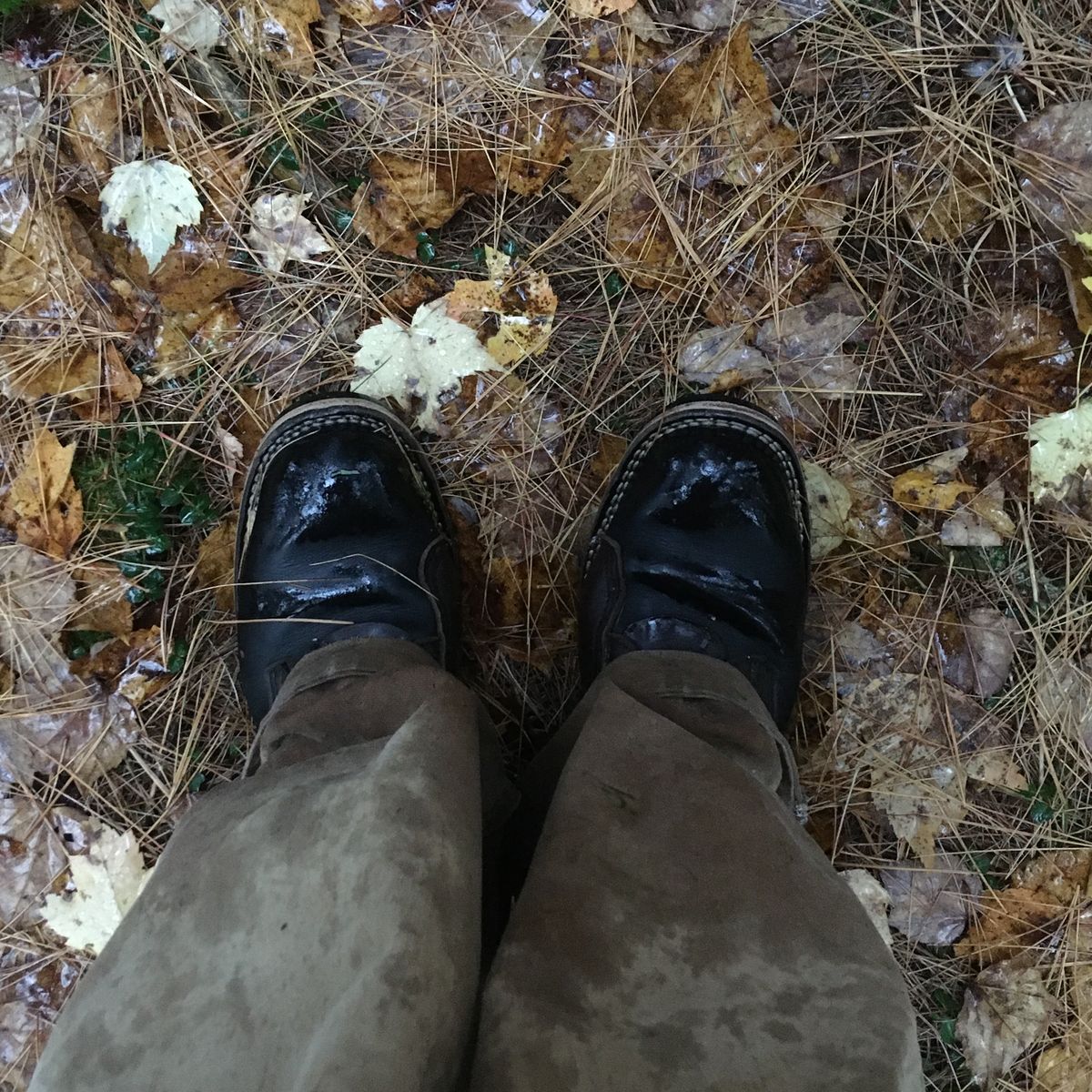 Photo by todd_ted on October 16, 2021 of the Nicks x Zuriick James in Horween Black Chromexcel.