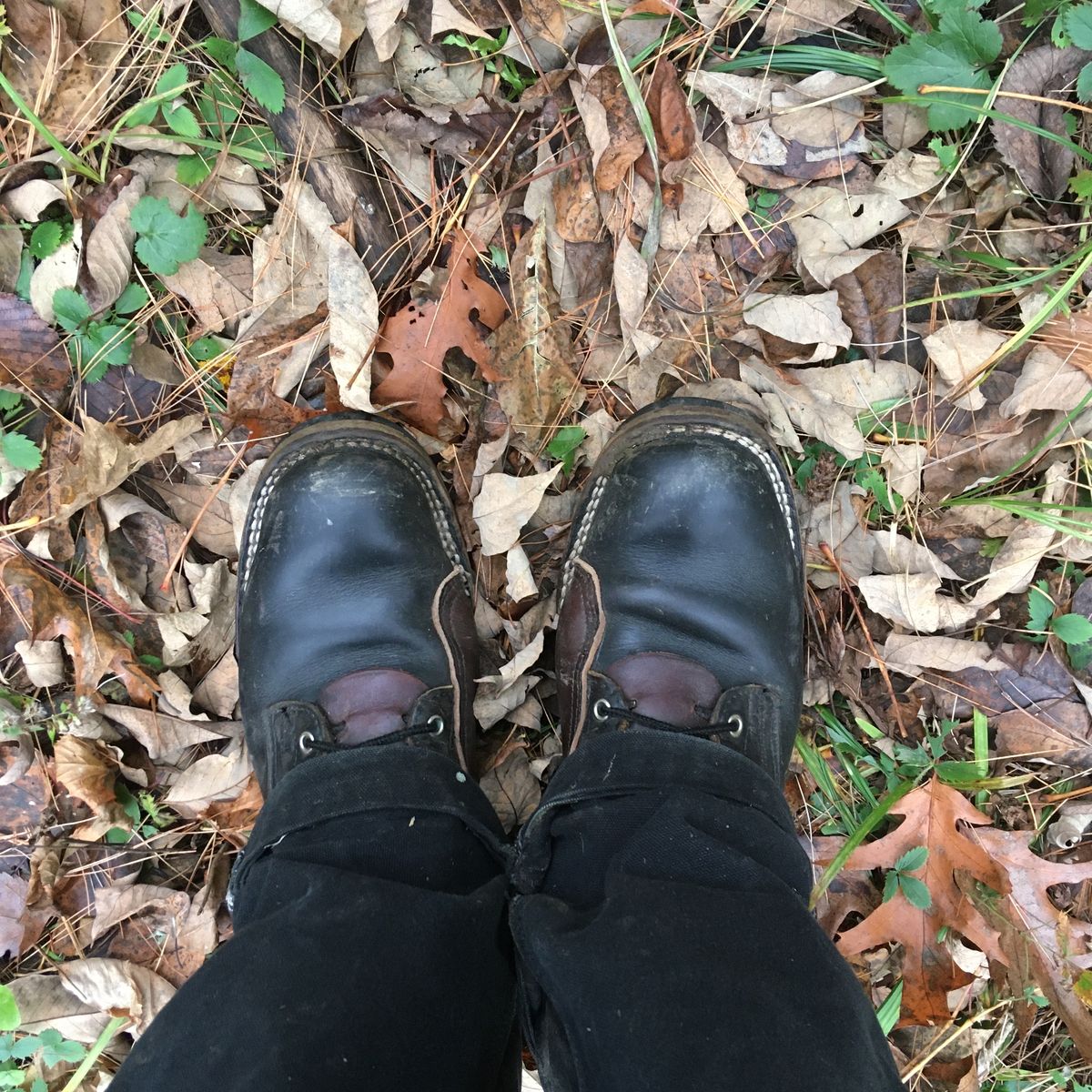 Photo by todd_ted on October 19, 2021 of the Nicks x Zuriick James in Horween Black Chromexcel.