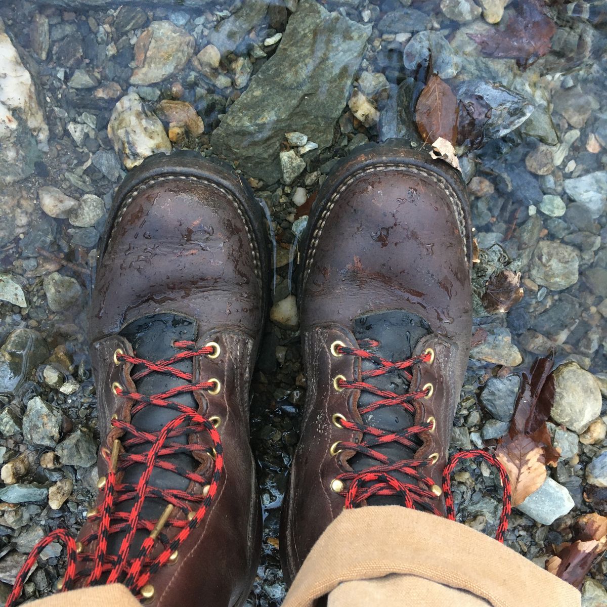Photo by todd_ted on April 11, 2022 of the Nicks Urban Logger in Seidel MaxSupport Chocolate.