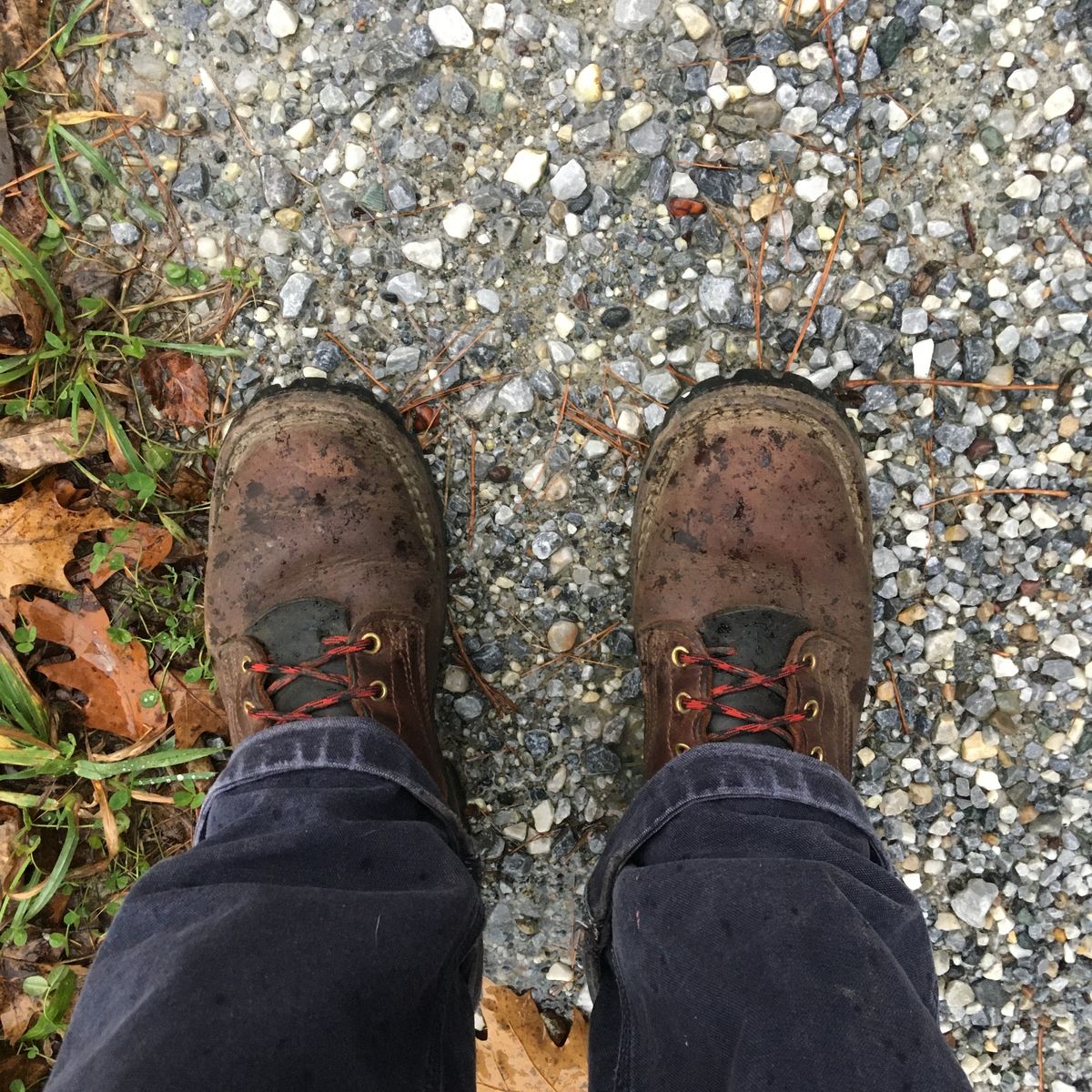 Photo by todd_ted on October 30, 2021 of the Nicks Urban Logger in Seidel MaxSupport Chocolate.