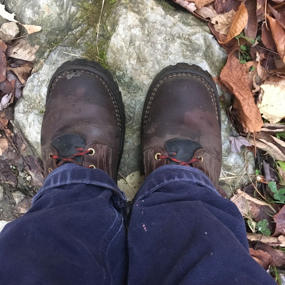 Photo by todd_ted on October 27, 2021 of the Nicks Urban Logger in Seidel MaxSupport Chocolate.