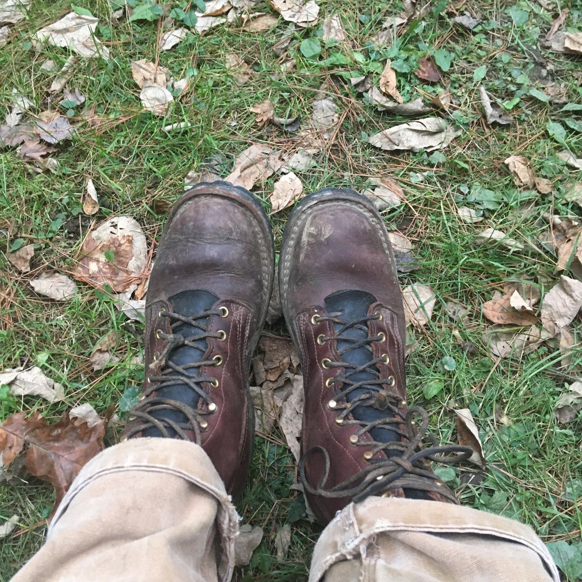 Photo by todd_ted on October 23, 2021 of the Nicks Urban Logger in Seidel MaxSupport Chocolate.