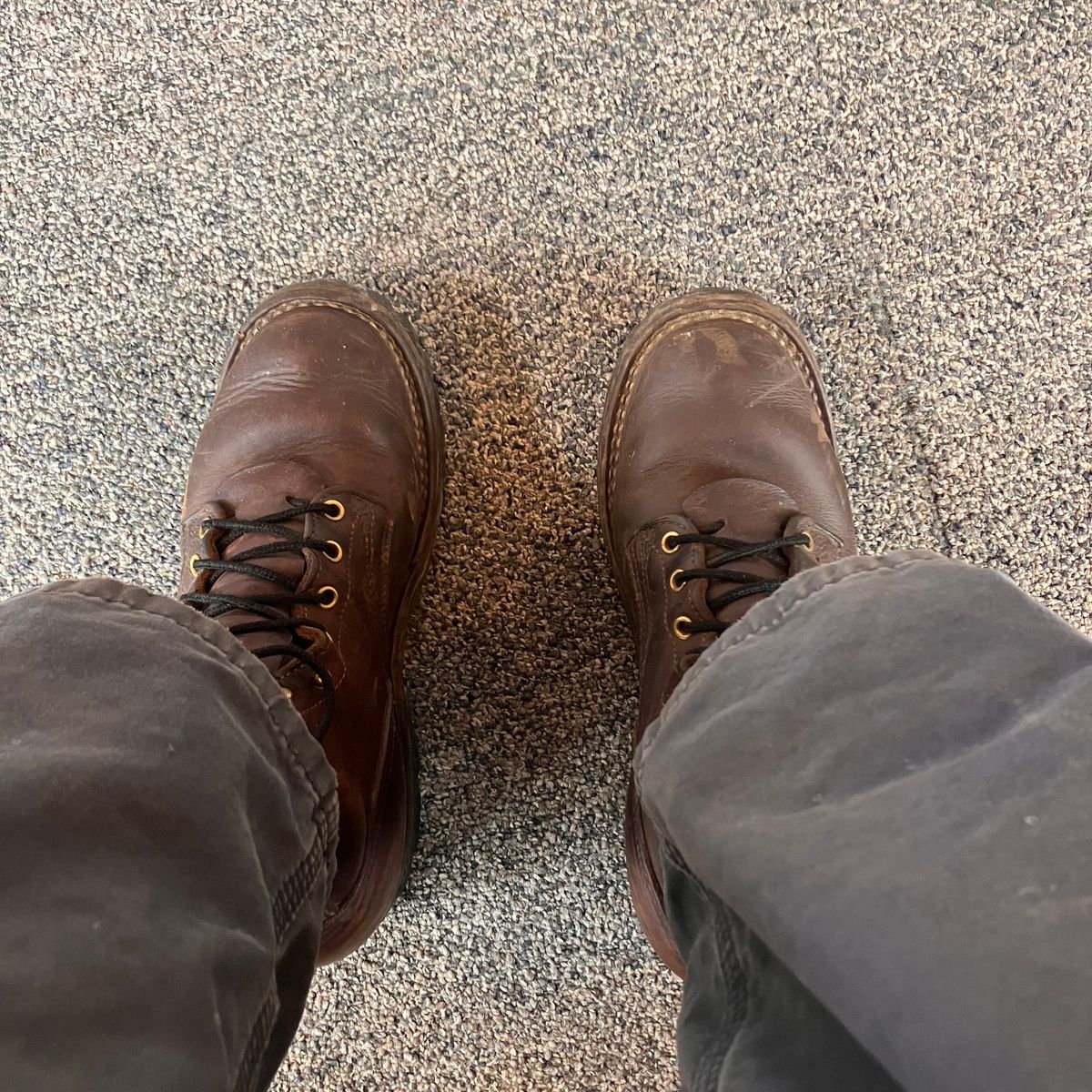 Photo by todd_ted on March 31, 2025 of the Nicks Urban Logger in Seidel MaxSupport Chocolate.
