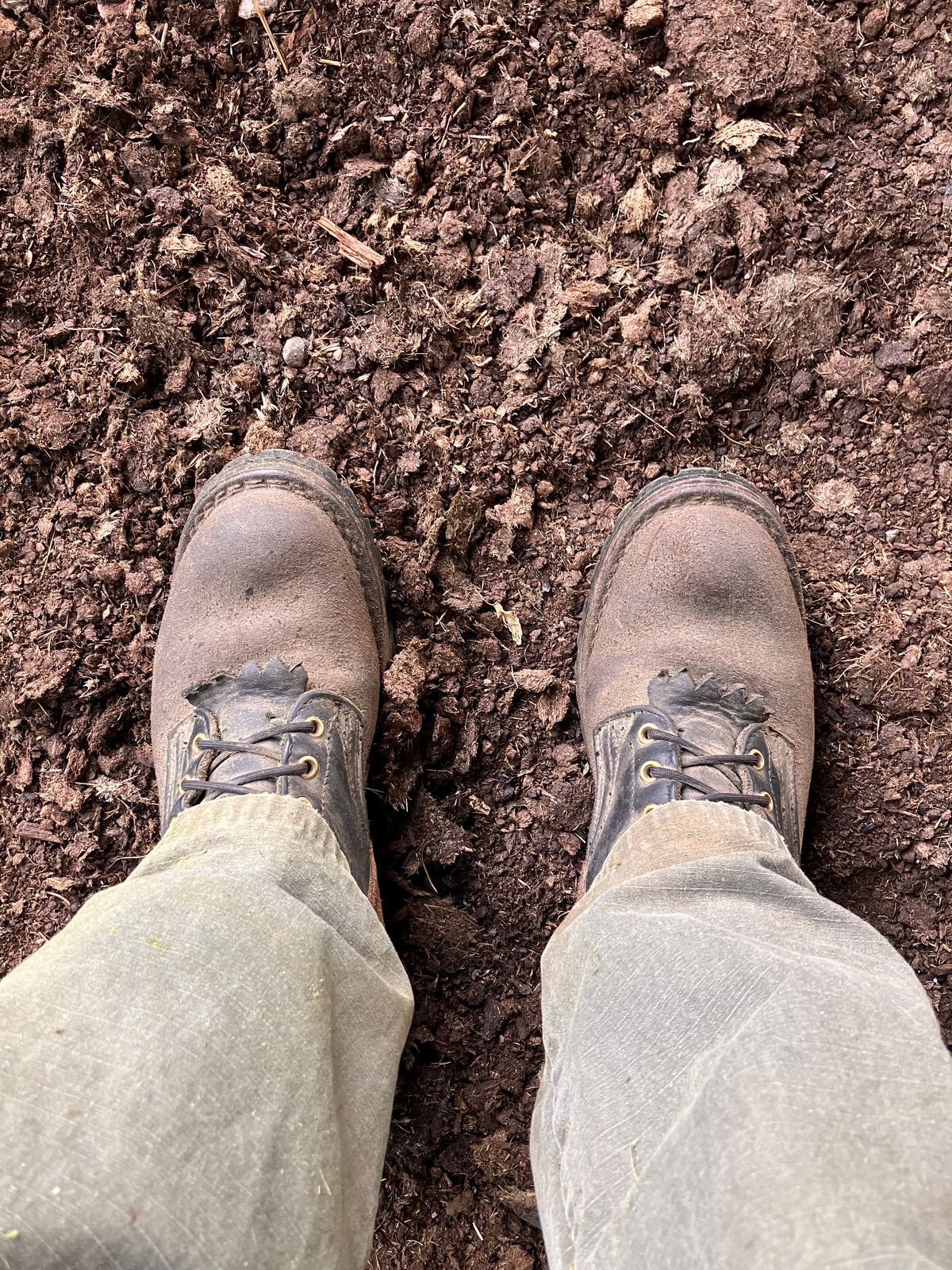 Photo by todd_ted on July 20, 2024 of the Nicks BuilderPro in Seidel MaxSupport Black & Seidel MaxSupport Walnut Roughout.