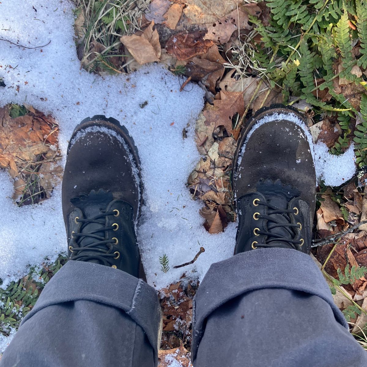 Photo by todd_ted on March 14, 2025 of the Nicks BuilderPro in Seidel MaxSupport Black & Seidel MaxSupport Walnut Roughout.