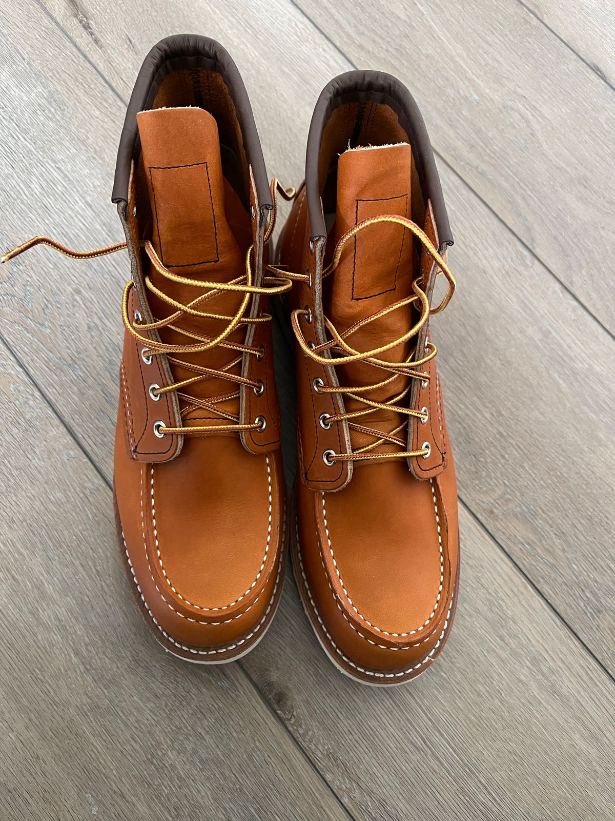 Photo by boot_jay_ on June 19, 2022 of the Red Wing 6-Inch Classic Moc in S.B. Foot Oro Legacy.