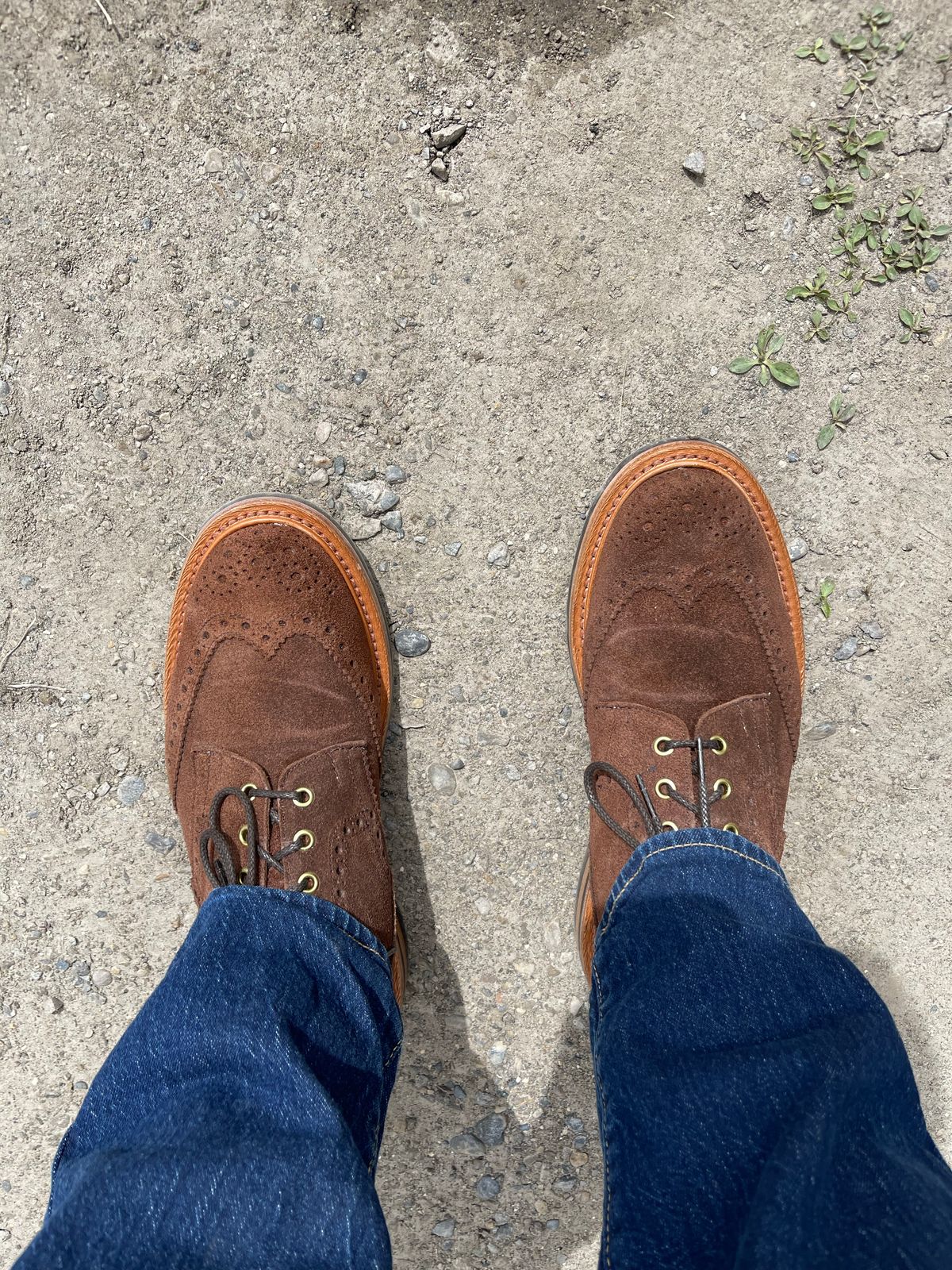 Photo by boot_jay_ on June 19, 2022 of the Tricker's Stow Country Boot in C.F. Stead Brown Repello Calf Suede.