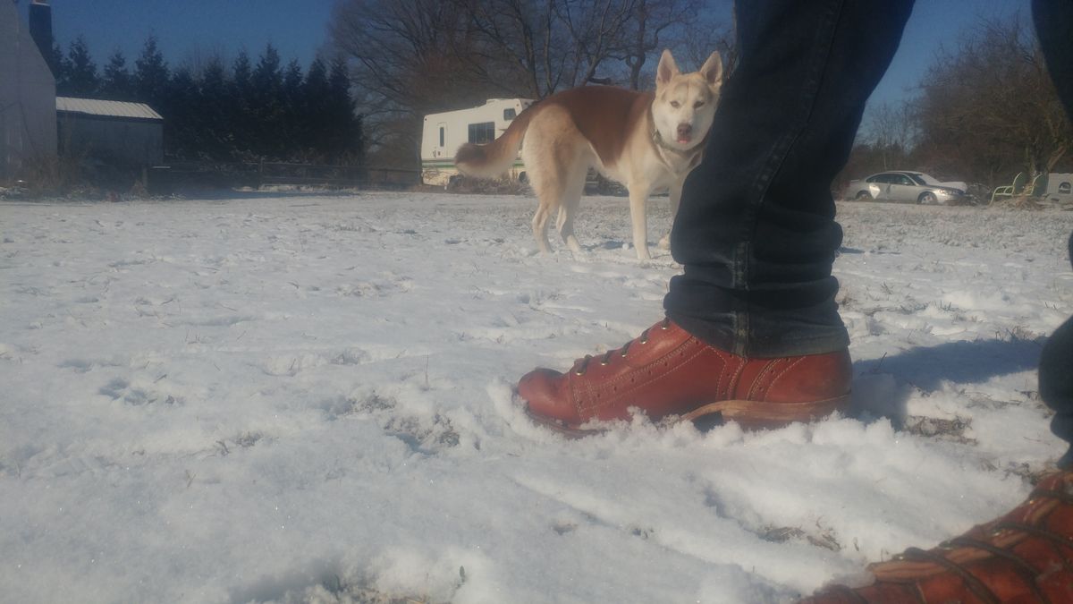 Photo by J.Seven on January 19, 2026 of the Frank's Boots Monkey Boot in Horween Olde English Dublin.
