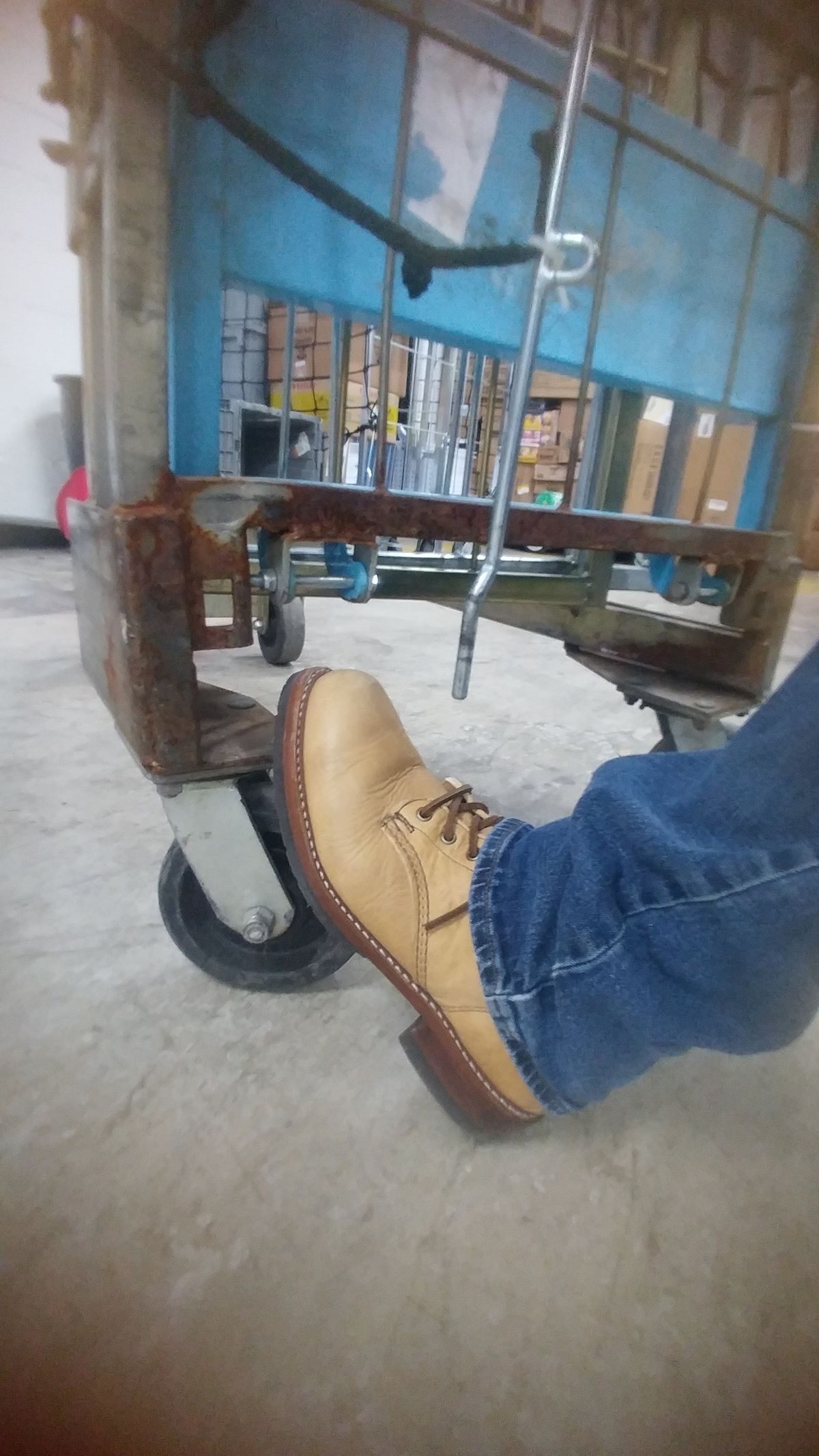 Photo by J.Seven on October 19, 2023 of the Wolverine 1000 Mile Evans Boot in Horween Olive Tanned.