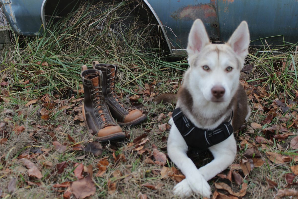 Photo by J.Seven on December 17, 2024 of the Frank's Boots Monkey Boot in Horween Cinnamon Waxed Flesh & Wickett & Craig Russet Traditional Harness.