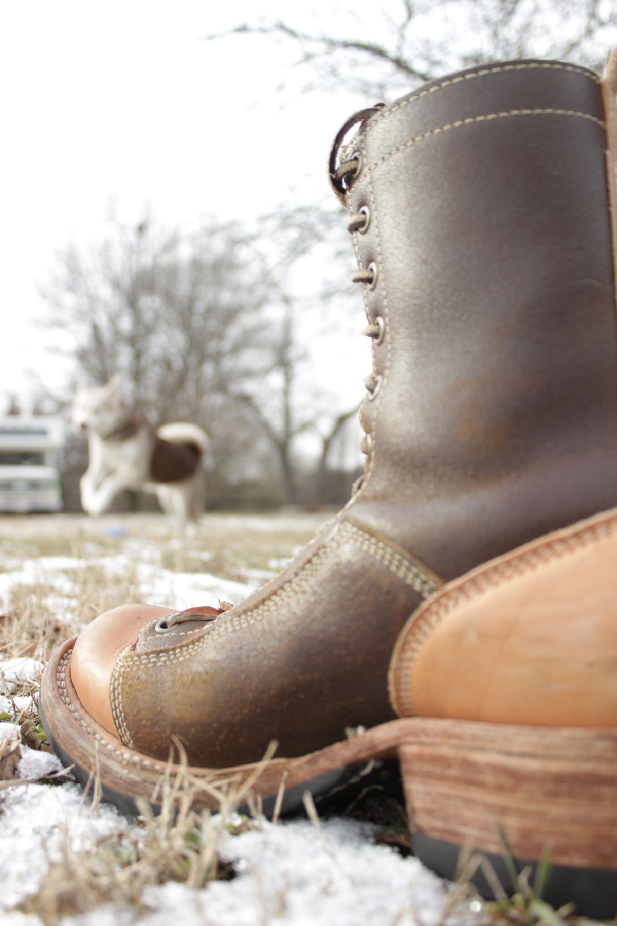 Photo by J.Seven on January 6, 2025 of the Frank's Boots Monkey Boot in Horween Cinnamon Waxed Flesh & Wickett & Craig Russet Traditional Harness.