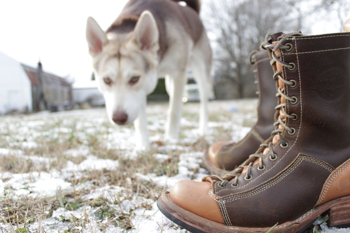 Photo by J.Seven on January 5, 2025 of the Frank's Boots Monkey Boot in Horween Cinnamon Waxed Flesh & Wickett & Craig Russet Traditional Harness.