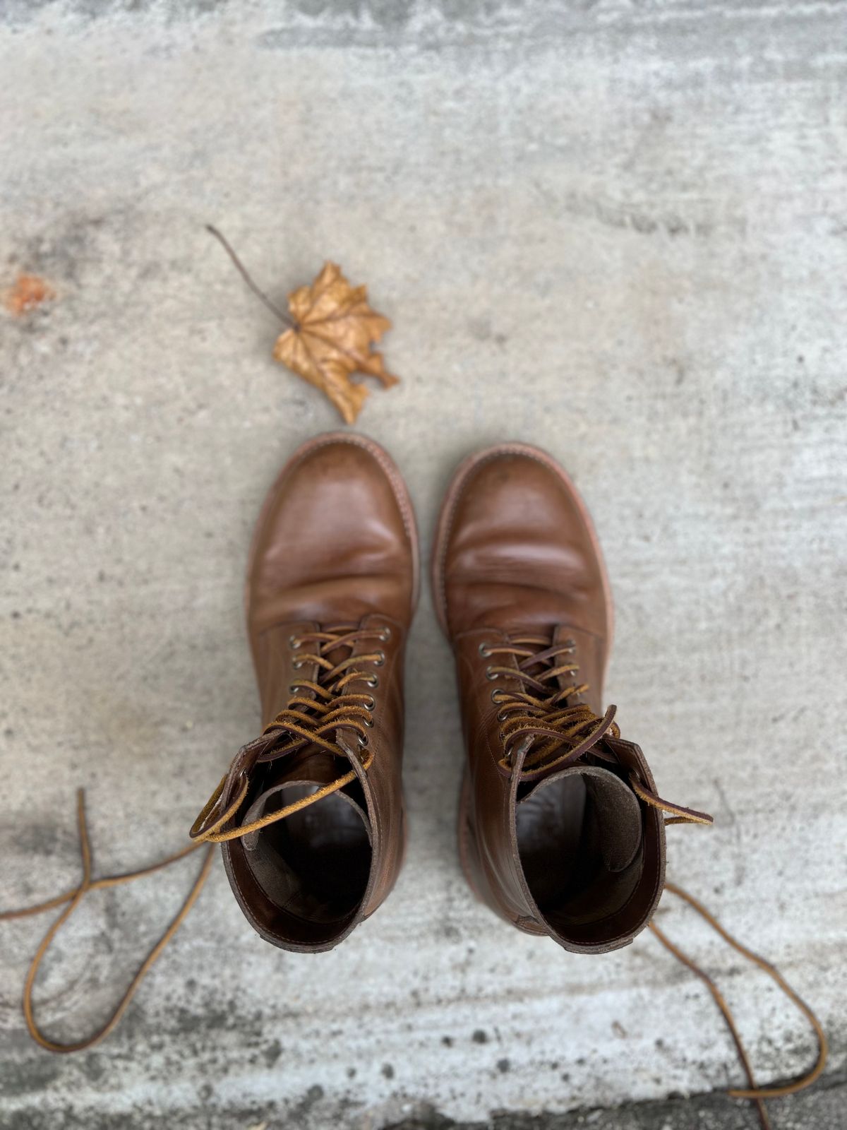 Photo by twigglekitty73 on November 3, 2023 of the Oak Street Bootmakers Trench Boot in Horween Natural Chromexcel.