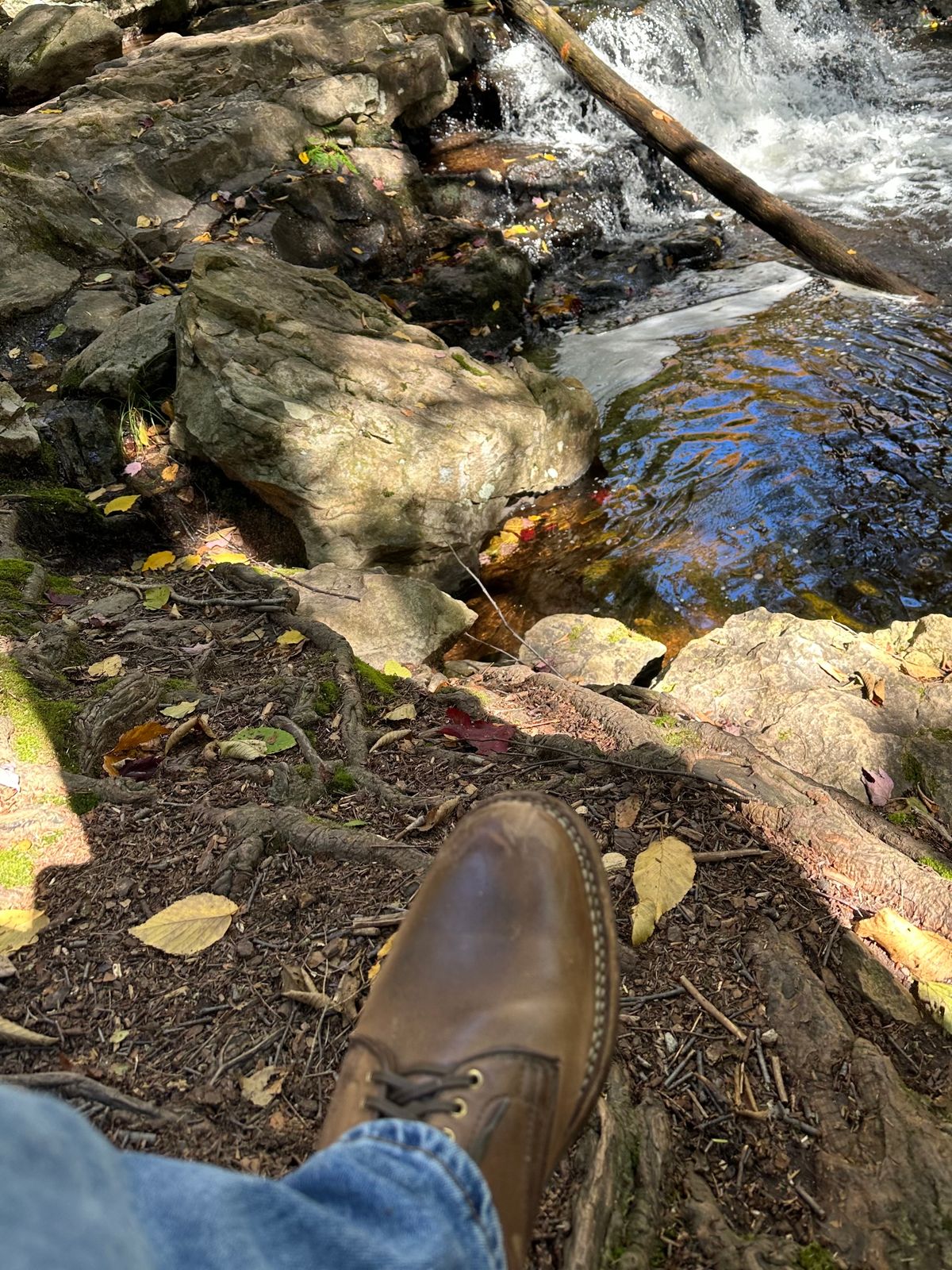 Photo by AGold on October 10, 2022 of the Viberg Service Boot in Horween Natural Chromexcel.