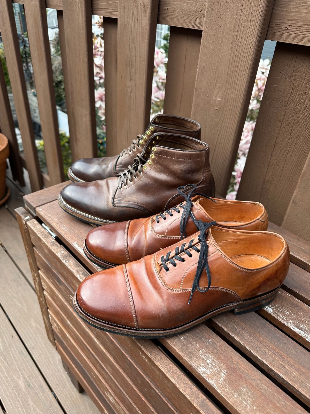 Photo by AGold on April 3, 2023 of the Viberg Bastion Oxford in Horween Natural Shell Cordovan.