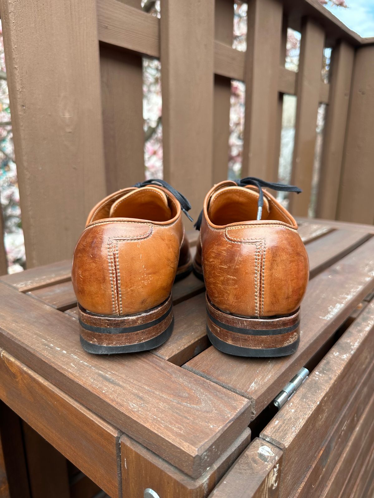 Photo by AGold on April 3, 2023 of the Viberg Bastion Oxford in Horween Natural Shell Cordovan.