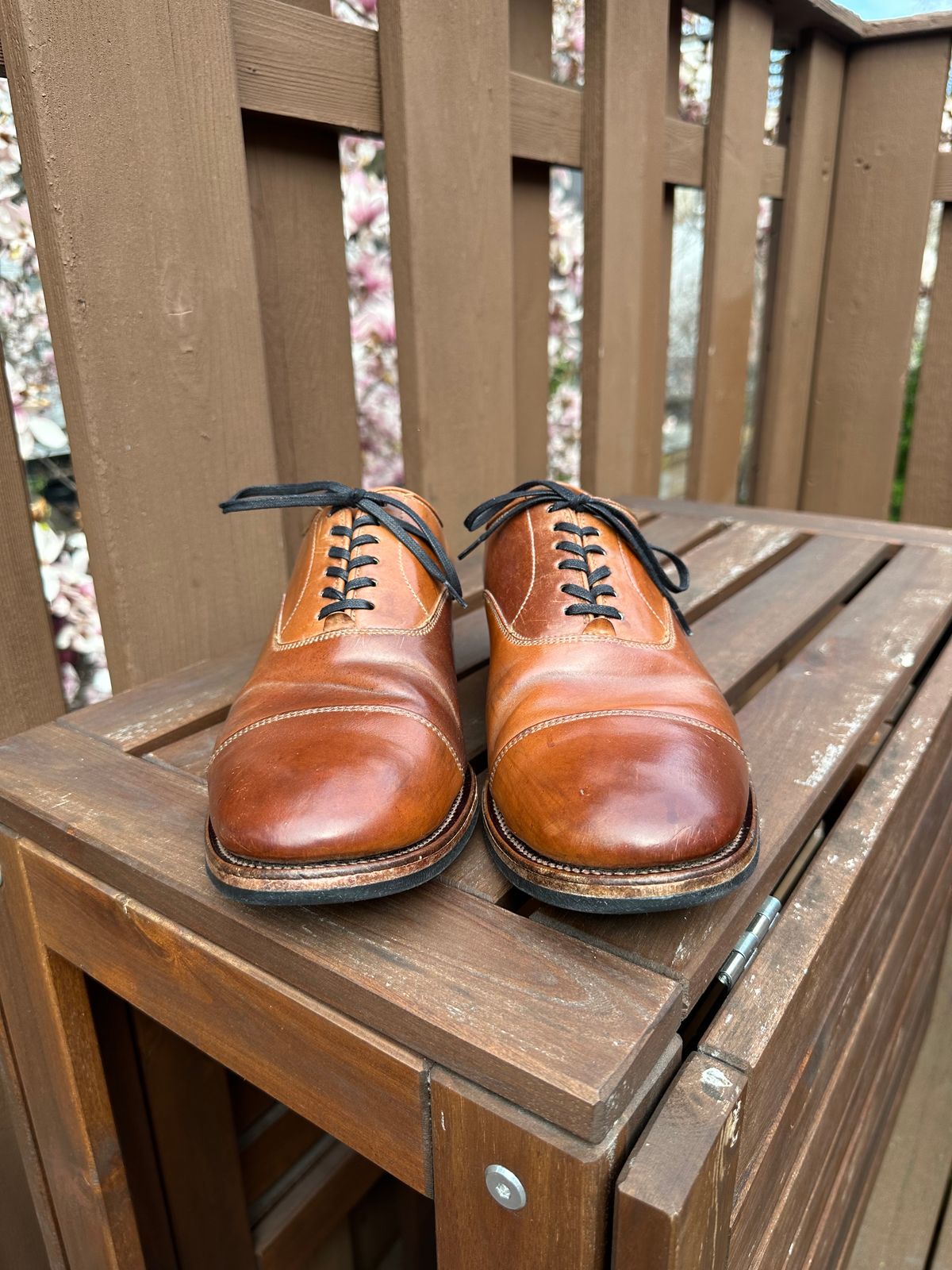 Photo by AGold on April 3, 2023 of the Viberg Bastion Oxford in Horween Natural Shell Cordovan.