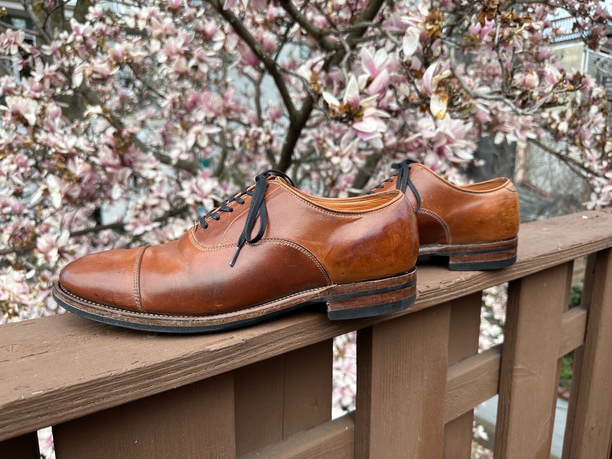 Photo by AGold on April 3, 2023 of the Viberg Bastion Oxford in Horween Natural Shell Cordovan.