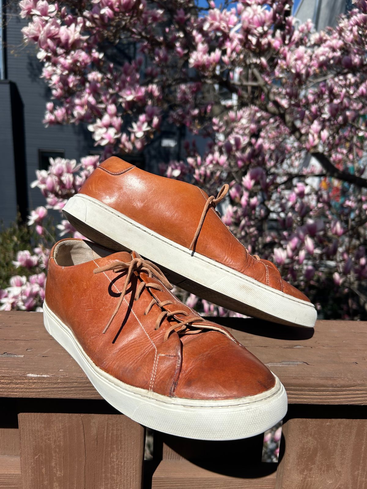 Photo by AGold on March 27, 2025 of the Grant Stone Coast Sneaker in Badalassi Carlo Natural Minerva.