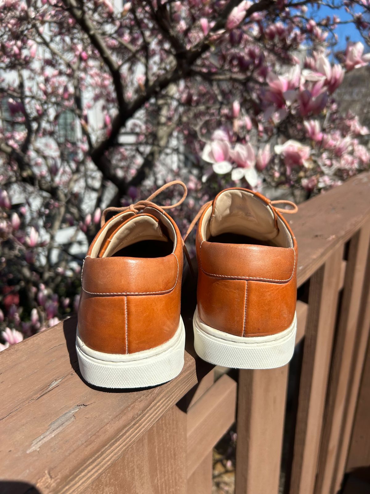 Photo by AGold on March 27, 2025 of the Grant Stone Coast Sneaker in Badalassi Carlo Natural Minerva.