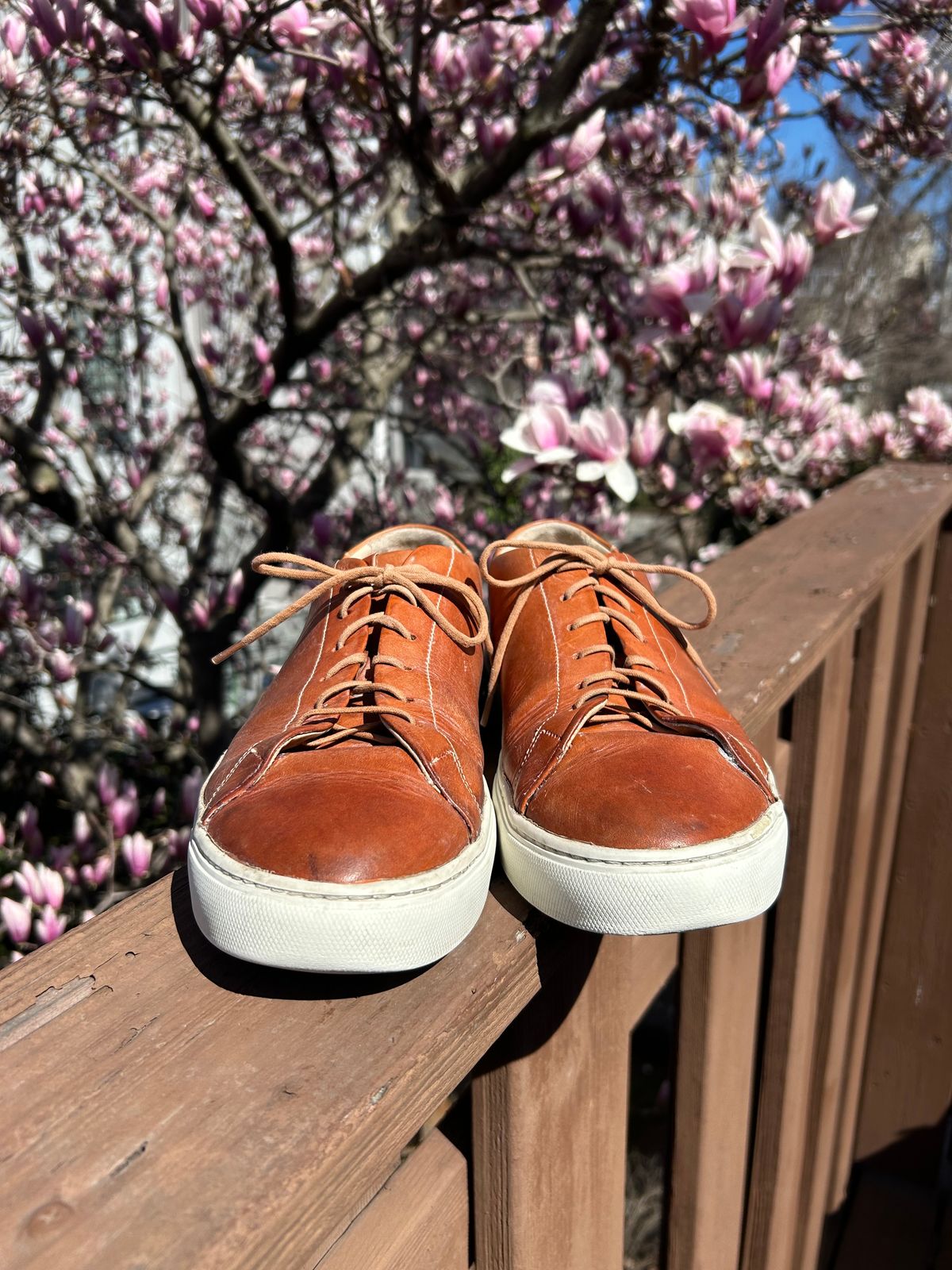 Photo by AGold on March 27, 2025 of the Grant Stone Coast Sneaker in Badalassi Carlo Natural Minerva.