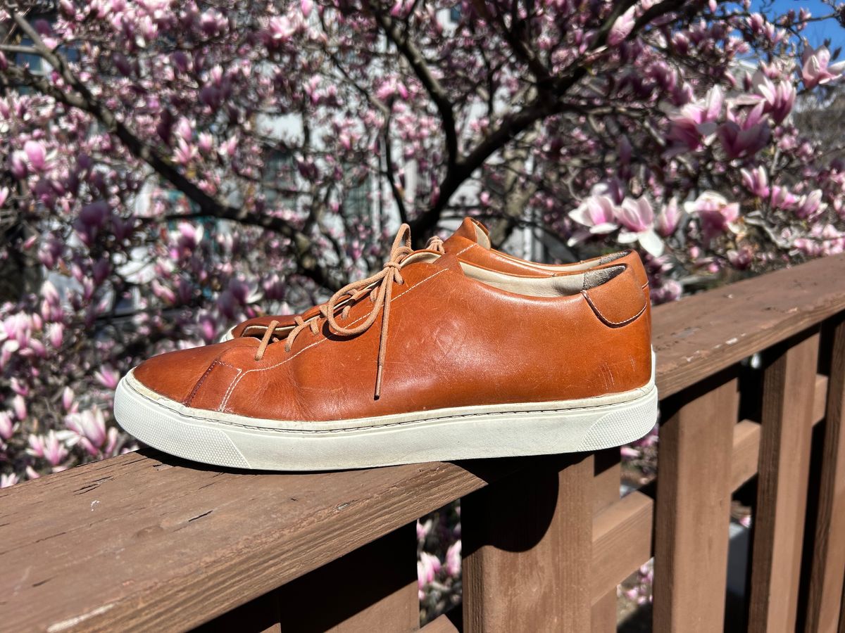 Photo by AGold on March 27, 2025 of the Grant Stone Coast Sneaker in Badalassi Carlo Natural Minerva.